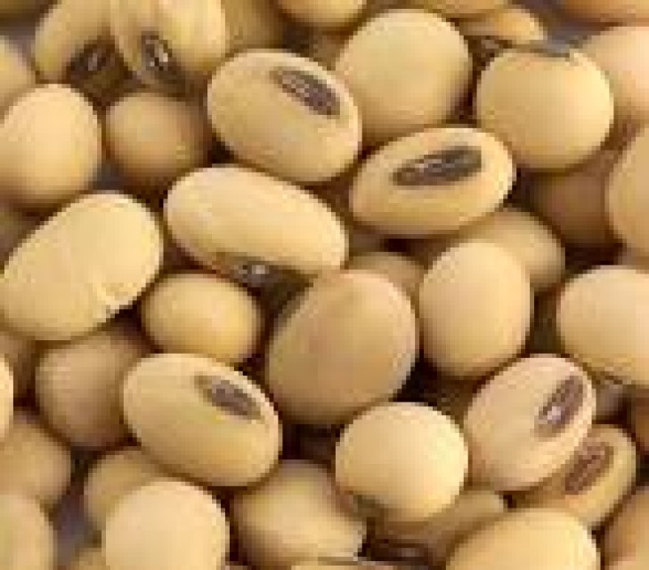 Buy Soybeans, Barley, Sorghum