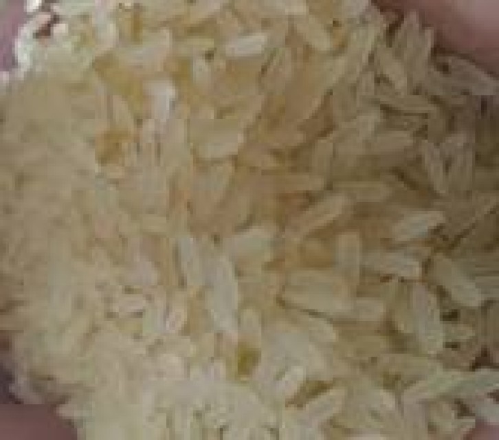 Buy Requirement: Rice, Barley, Maize, Wheat