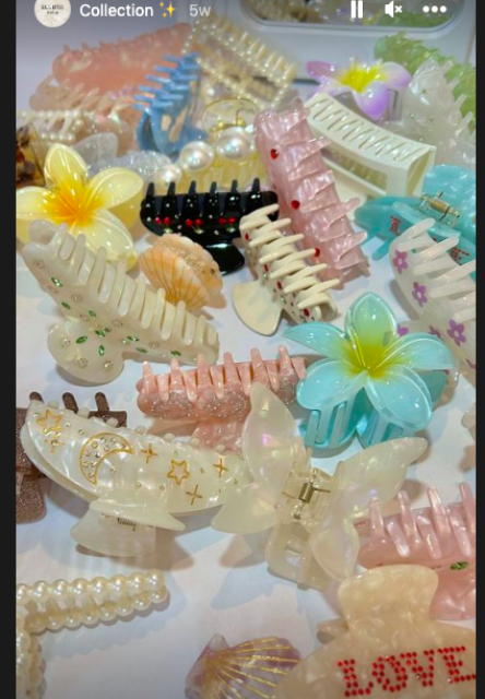 Request for Quotation (RFQ) - Hairclips with Different Designs