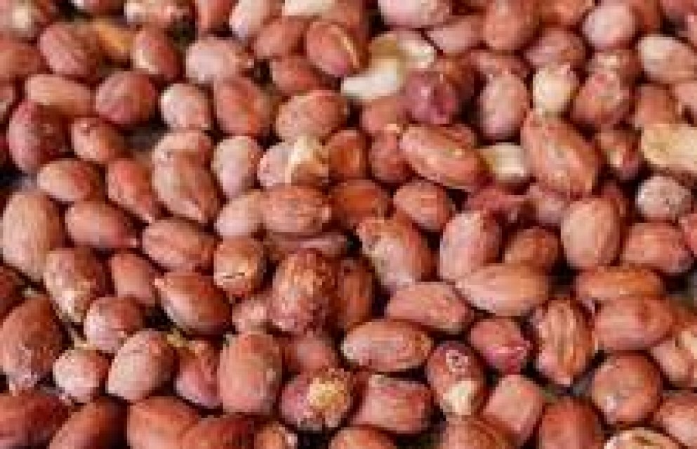 Purchase Requirements to Peanuts, Millet