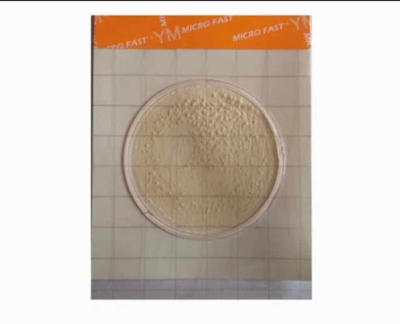 Buy Requirement for Rapid Yeast and Mold Count Plates