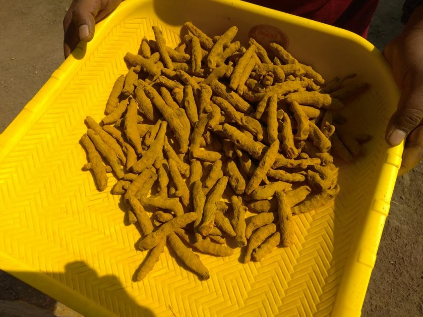 Buy Requirement - Dried Turmeric