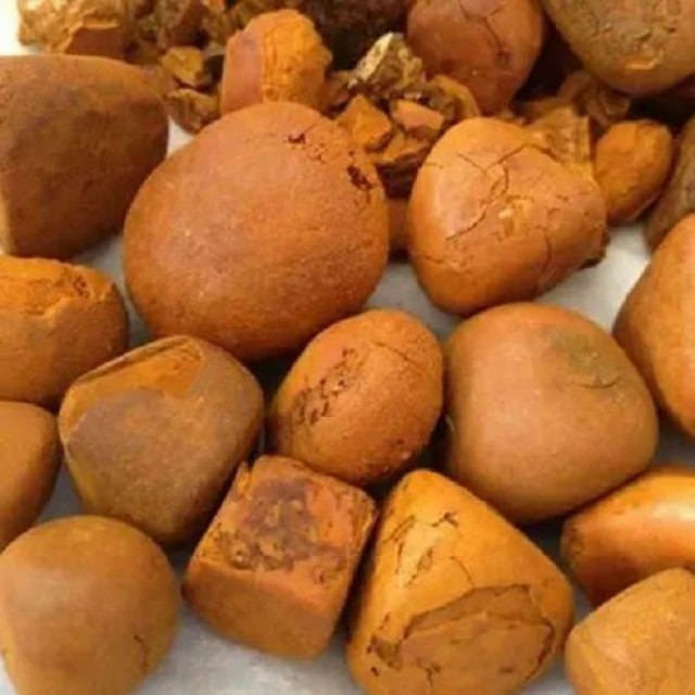 Buy Requirement - Cow Ox Gallstones