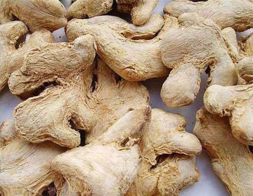 RFQ (Request for Quotation) - DRY GINGER