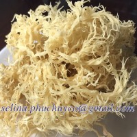 High grade dried sea moss / Irish sea moss