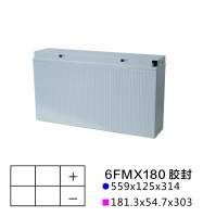 Heated Sealed Industrial Storage Battery